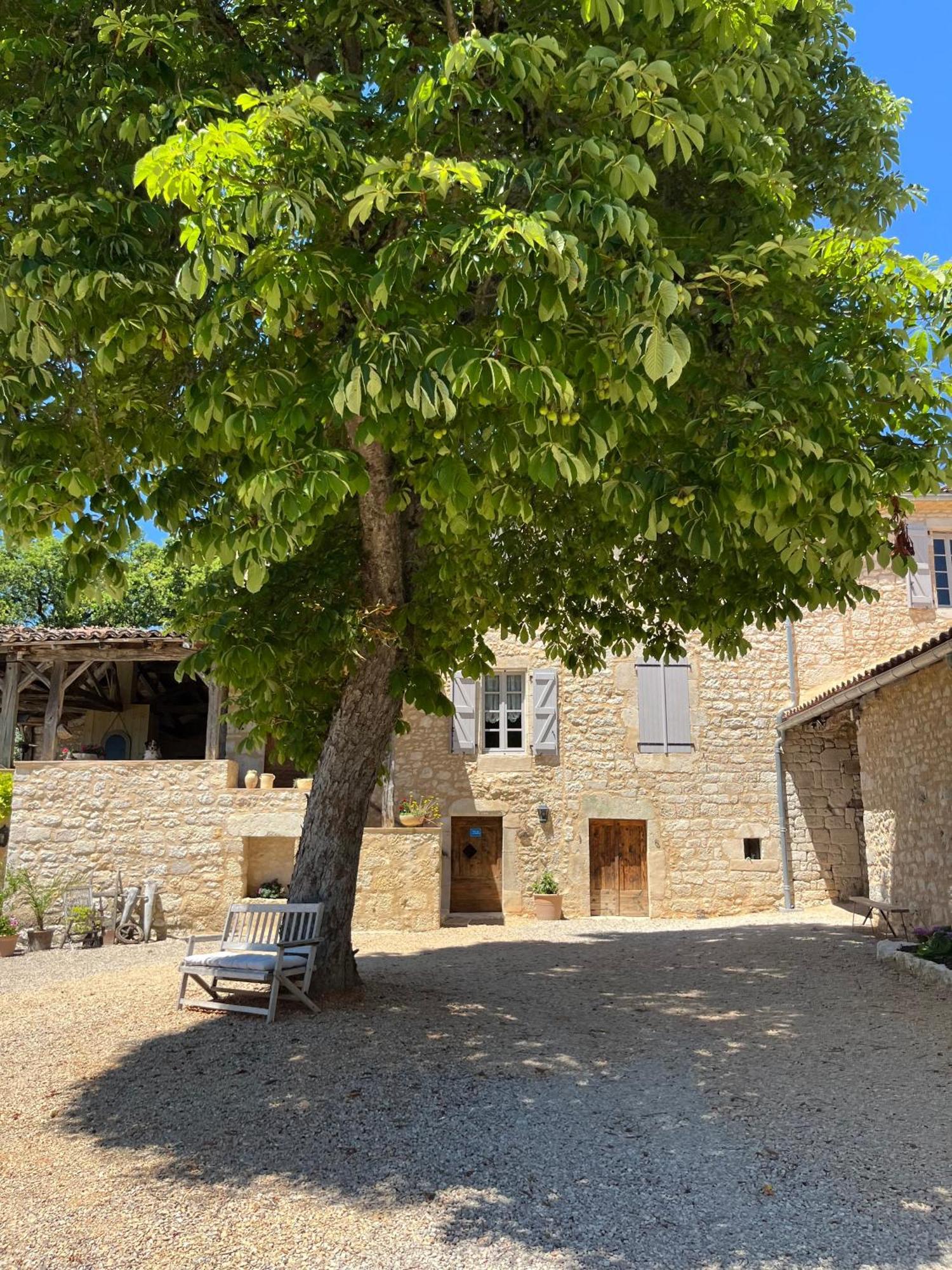 Maison D'Hotes De La Boissiere Andillac Exterior photo